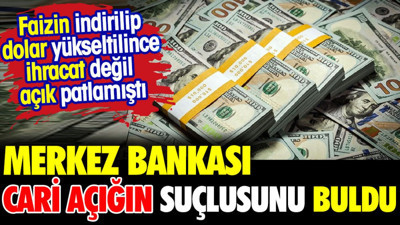 Merkez Bankası cari açığın suçlusunu buldu.