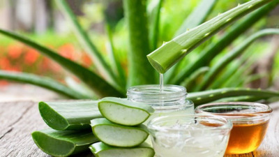 Aloe vera kremi nasıl yapılır? Evde Aloe vera kremi yapılır mı?
