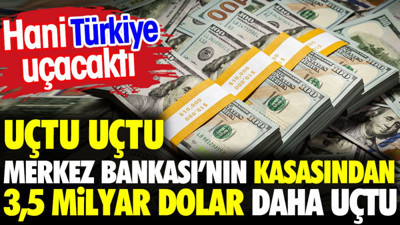 Uçtu uçtu Merkez Bankası'nın kasasında 3,5 milyar dolar daha uçtu