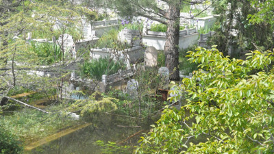 Baraj taştı, mezarlık suya gömüldü! Kurban Bayramı önce yürek yakan manzara