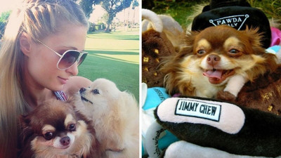 Paris Hilton: Yaşadığım acıyı kelimeler ifade edemez