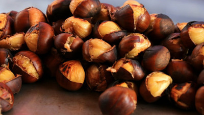 Rüyada kestane görmek ne demek? Rüyada kestane görmek neye işaret?