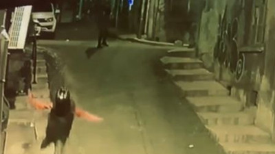 Kasklı genç kaçarken öldürüldü