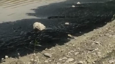 Bursa'da Boğazköy Barajı'nın yüzeyi siyaha büründü