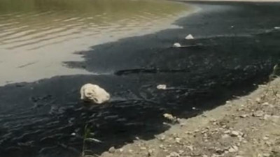 Bursa'da korkutan görüntü: Boğazköy Barajı'nın yüzeyini siyah tabaka kapladı