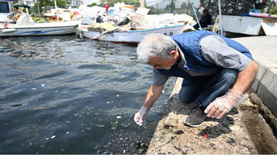 Uzman isim ‘Şiddetle artacak’ diyerek uyardı: Yazın Körfezde kokudan durulmayacak