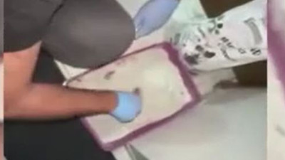 Kedi kumu polisleri şok etti. İçinden binlerce çıktı