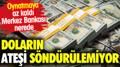 Doların ateşi söndürülemiyor. Oynatmaya az kaldı Merkez Bankası nerede
