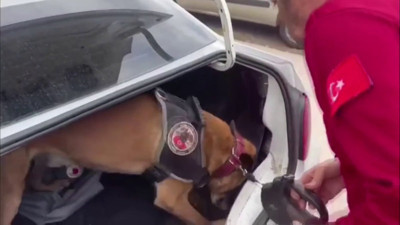Bagajdaki uyuşturucu narkotik köpeği ‘Millov’ buldu