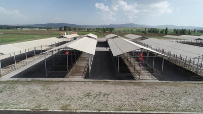 Tümü kapatıldı. Kurban Bayramı öncesi alarma geçildi