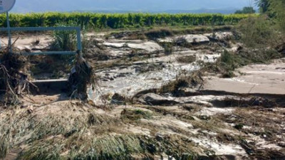 Manisa'nın Sarıgöl Ovası'nı sel vurdu