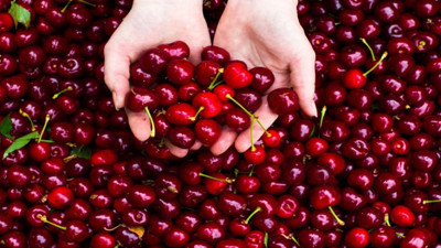 Rüyada kiraz görmek ne anlama geliyor? Rüyada kiraz görmek ne demek?