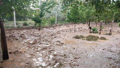 Kırıkkale'de sağanak sele neden oldu. 20 küçükbaş telef oldu