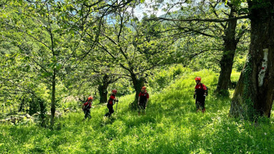 Şifalı ot toplamaya çıktı, Uludağ’da kayboldu