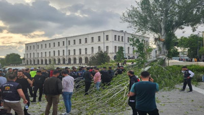 Beyazıt Meydanı'nda çınar ağacı devrildi. Turist rehberi altında kaldı