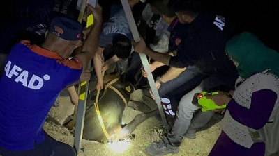 Su kuyusuna düşen inek için seferber oldular