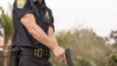 ABD polisi, otobanda başıboş dolaşan köpekleri vurdu