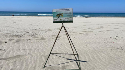 Caretta carettaların yuva alanı kumsalda ATV tepkisi