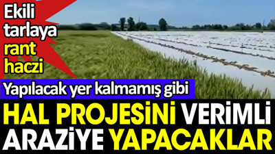 Yapılacak yer kalmamış gibi hal projesini verimli araziye yapacaklar