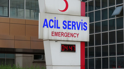 11 yaşındaki çocuk ayı saldırısı sonucu ağır yaralandı