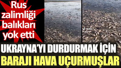 Ukrayna’yı durdurmak için barajı hava uçurmuşlar. Rus zalimliği balıkları yok etti