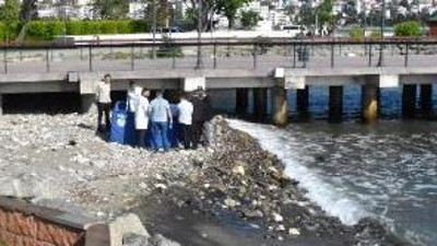 Sahile vurmuş ceset alarmı