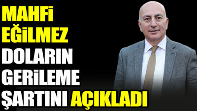 Mahfi Eğilmez doların gerileme şartını açıkladı