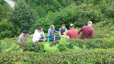 Çay bahçesine yuvarlanan kamyonetin sürücüsü yaralandı