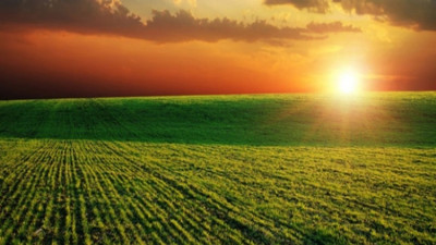 Rüyada alan görmek ne anlama geliyor? Rüyada alan görmek ne demek?