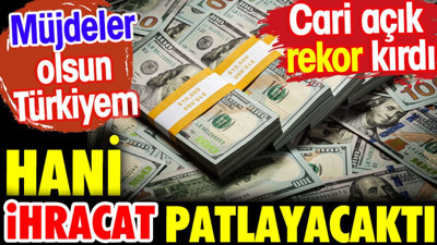 Müjdeler olsun Türkiye. Hani ihracat patlayacaktı