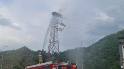 Leylek yuvasına yıldırım düştü