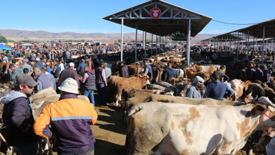 Şap karantinası nedeniyle Sivas'ta kurban pazarı açılmayacak