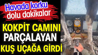 Kokpit camını parçalayan kuş uçağa girdi. Havada korkulu dolu dakikalar