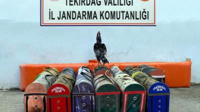 Çiftlikte horoz dövüştürmüşlerdi. Cezaları belli oldu
