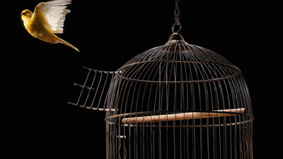 Rüyada kafes görmek ne demek? Rüyada kafes görmek neye işaret?