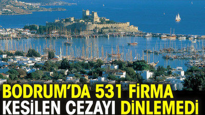 Bodrum'da 531 firma kesilen cezayı dinlemedi