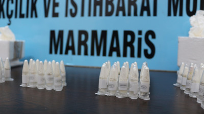 Kargo paketinden çıkan şey şok etti. Akvaryum bitkisi diye bakın ne koymuşlar