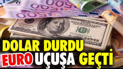 Dolar durdu euro uçuşa geçti
