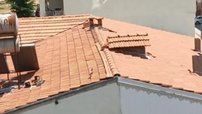 Çatıda keklik yakalama seferberliği