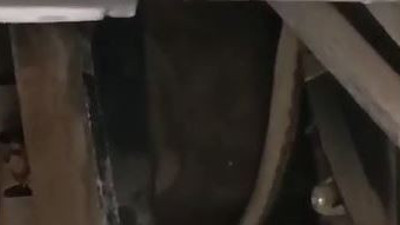 Aracına bindi çığlık atarak indi