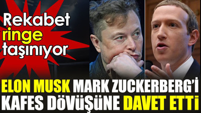 Elon Musk Mark Zuckerberg'i kafes dövüşüne davet etti