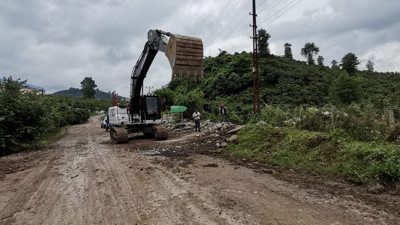 Ordu'da sağanak: Dere taştı ev ve iş yerlerini su bastı