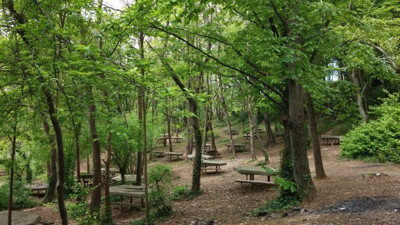 İstanbul'da ormanlara giriş yasaklandı. Valilik duyurdu