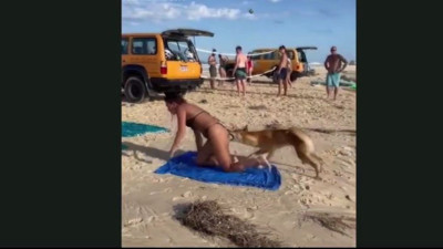 Plajda panik: Fransız turisti uzun uzun kokladı sonra dayamayıp hart ısırdı