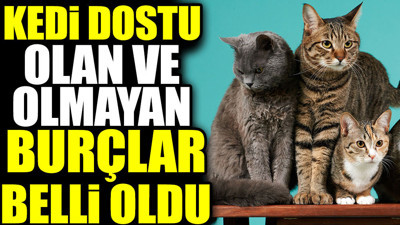 Kedi dostu olan ve olmayan burçlar belli oldu