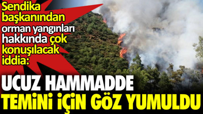 Sendika başkanından orman yangınları hakkında çok konuşulacak iddia: Ucuz hammadde temini için göz yumuldu