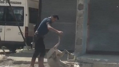 Masum bir canı bayıltana kadar dövmüştü. İşkencecinin ifadesi şoke etti