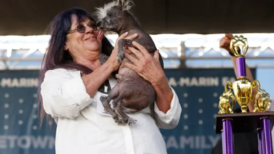 Dünyanın en çirkin köpeği seçildi