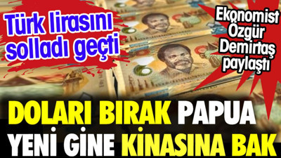 Doları bırak Papua Yeni Gine Kinasına bak. Ekonomist Özgür Demirtaş paylaştı