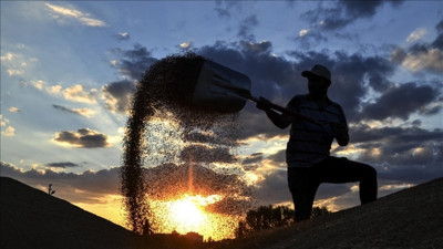 Toprak Mahsulleri Ofisi’nin hububat satış fiyatları belli oldu